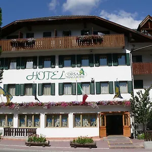 https://hotel-orsa-maggiore-falcade.hotelinveneto.com